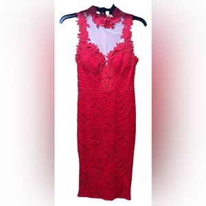 Elegant Red Lace Knee-Length Dress with Zippered Back and Floral Pattern